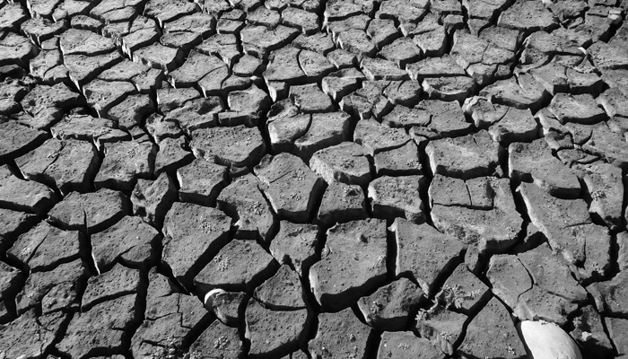 Il clima che cambia colpisce l’agricoltura: la siccità ci costa un miliardo di euro