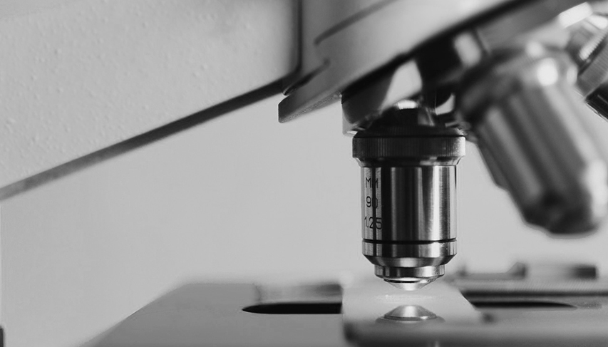 Ricerca e innovazione in Italia: più ombre che luci